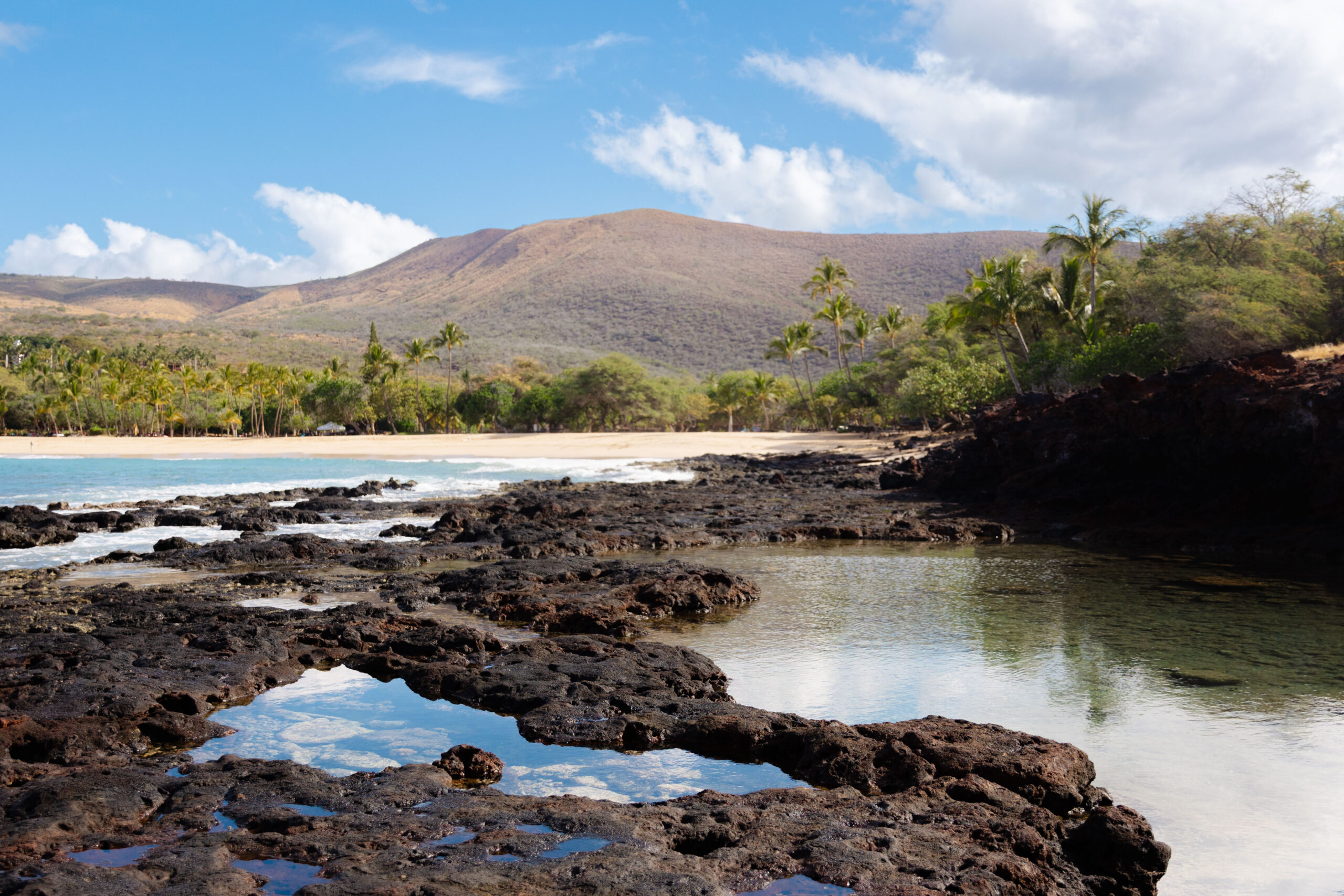 Winpenny Co. Magazine Hunting in Paradise Article